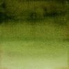 Olivo