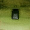 Olivo - Imagen 2